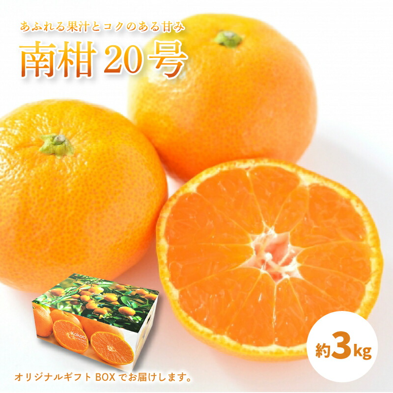 【ふるさと納税】 【先行予約】【 2025年12月中に発送 】 温州みかん 「 南柑20号 」＜ 秀品 ＞ 約3kg 【 ギフトBOX 入り 】