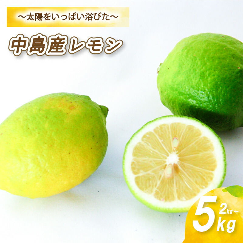 【ふるさと納税】 【10月から発送】 レモン 2kg / 5kg / ( 14 -18玉 ) / ( 35 - 45玉 ) 檸檬 数量限定 愛媛県産 松山市 中島