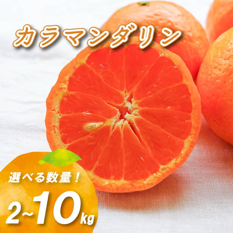 【ふるさと納税】 【2026年4月中旬頃から順次発送】カラマンダリン 2kg / 5kg / 10kg ( 数量選択可 国産 愛媛みかん 愛媛蜜柑 愛媛ミカン みかん ミカン mikan 蜜柑 柑橘 フルーツ 果物 くだもの お取り寄せ 産地直送 数量限定 人気 おすすめ 愛媛県 松山市 送料無料 )