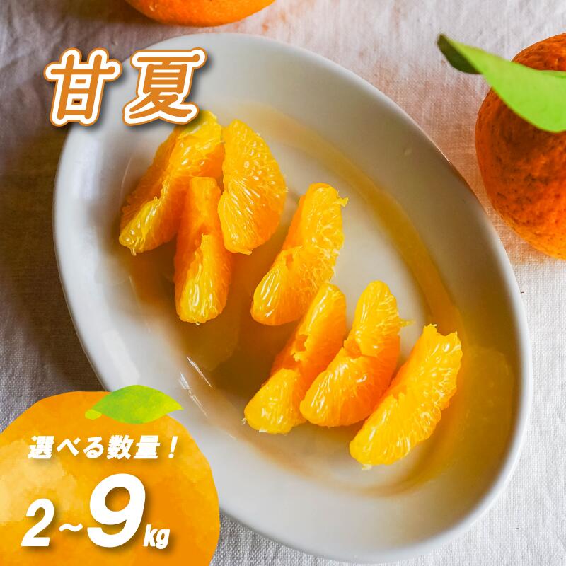 【ふるさと納税】 【2027年3月下旬頃より順次発送】農薬不使用 甘夏 2kg / 4kg / 9kg ( 数量選択可 国産 愛媛みかん 愛媛蜜柑 愛媛ミカン みかん ミカン mikan 蜜柑 柑橘 フルーツ 果物 くだもの お取り寄せ 産地直送 数量限定 人気 おすすめ 愛媛県 松山市 送料無料 )｜愛媛県松山市