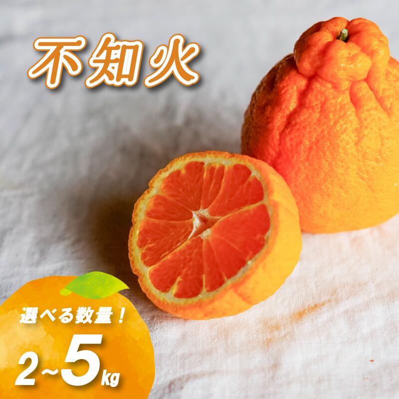 【ふるさと納税】 【2027年2月中旬頃から順次発送】 不知火 2kg / 5kg ( 数量選択可 国産 愛媛みかん 愛媛蜜柑 愛媛ミカン みかん ミカン mikan 蜜柑 柑橘 フルーツ 果物 くだもの お取り寄せ 産地直送 数量限定 人気 おすすめ 愛媛県 松山市 送料無料 )｜愛媛県松山市