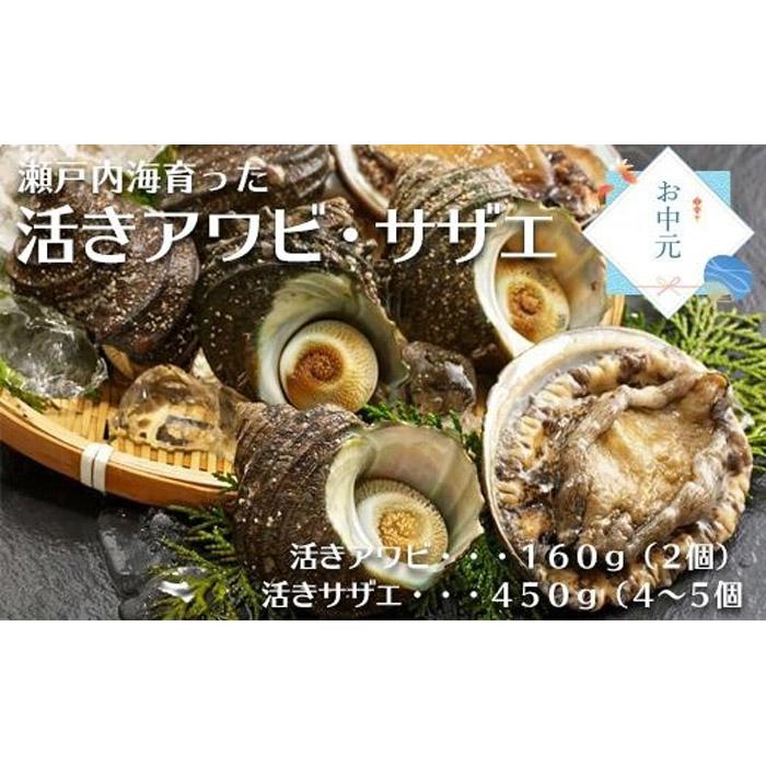 瀬戸内海 活きアワビ 瀬戸内海 活きアワビ