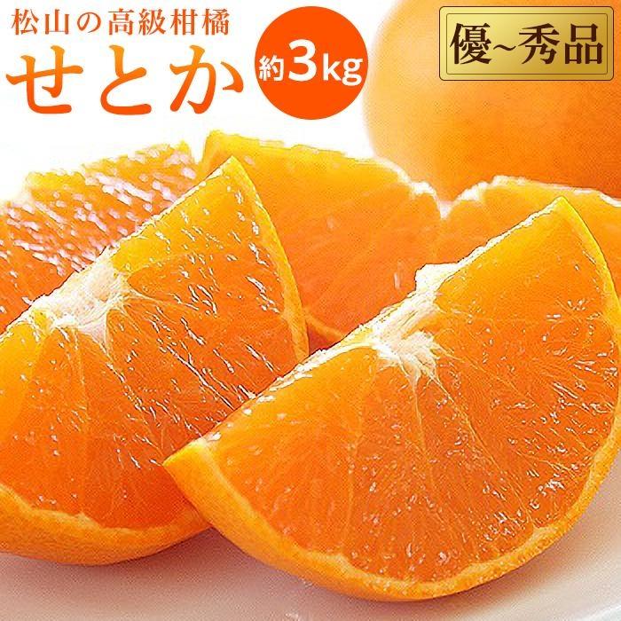 絶品 愛媛県産 贈答用 せとか ３キロ
