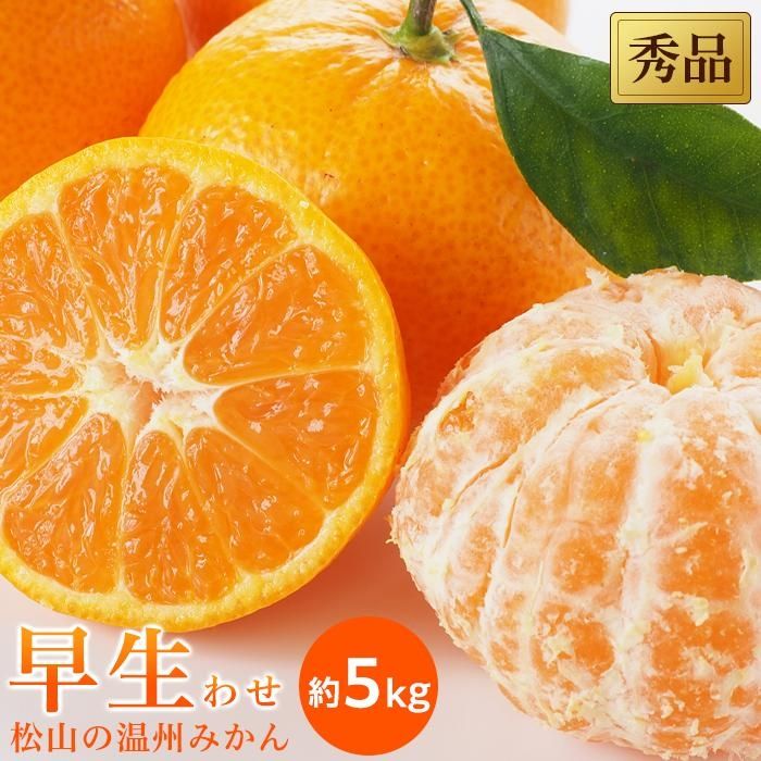 楽天市場】【ふるさと納税】ゼロイチふぁーむ みかん 早生温州