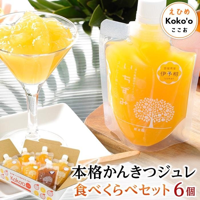 【ふるさと納税】 「いちずみ」食べ比べセット６個入り　(ぶどう入り)　(ココオ簡易BOX入り)