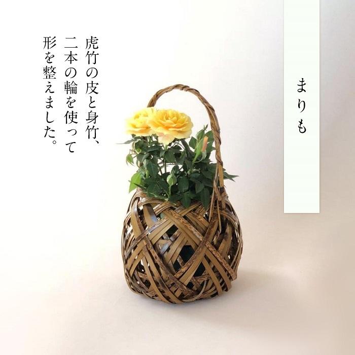 【ふるさと納税】 まりも