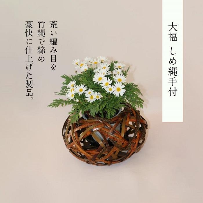 【ふるさと納税】 大福 しめ縄手付｜愛媛県松山市