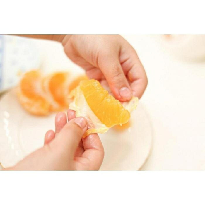 年末年始大決算 宮内伊予柑 いよかん 10kg 約40個 フルーツ 果物 果実 無農薬 愛媛県産 23年1月15日発送開始 Fucoa Cl 年末年始大決算 宮内伊予柑 いよかん 10kg 約40個 フルーツ 果物 果実 無農薬 愛媛県産 23年1月15日発送開始 Fucoa Cl