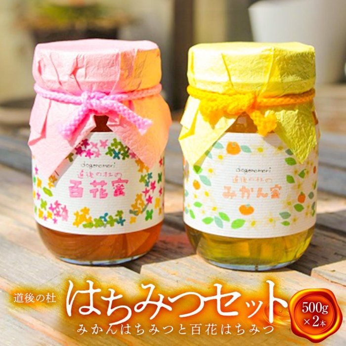 ふるさと納税】 《希少》 日本みつばちのハチミツ 「百花舞蜜（しぼり