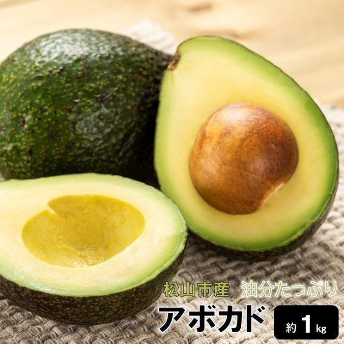 【ふるさと納税】 【先行受付】油分たっぷり！！露地栽培の国産アボカド 1kg | アボカド 国産 ベーコン フェルテ ピンカートン ヘルシー ダイエット 美容 愛媛県 松山市 送料無料