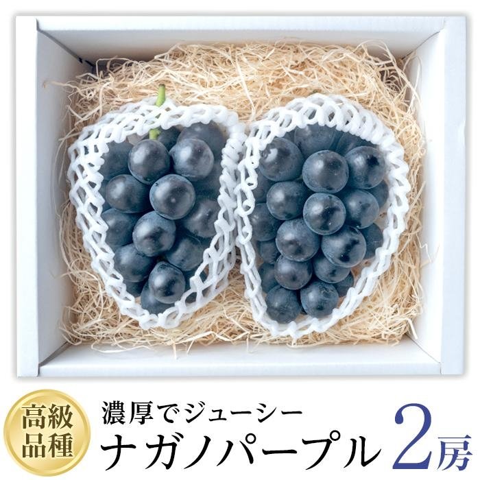 【ふるさと納税】 【2025収穫分先行予約】 ぶどう ナガノパープル 2房 約 1.1kg 新着 人気 予約 フルーツ くだもの マスカット ぶどう 早朝 収穫 朝採れ ギフト 贈答 ※8/10頃～発送予定 ナチュラルファームｅｎ