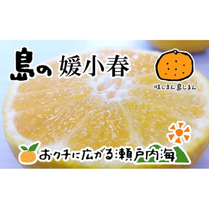 愛媛県産　媛小春　ひめこはる　柑橘　　10kg 楽天市場】【予約品】媛小春10kg 2026年2月中旬より発送 愛媛