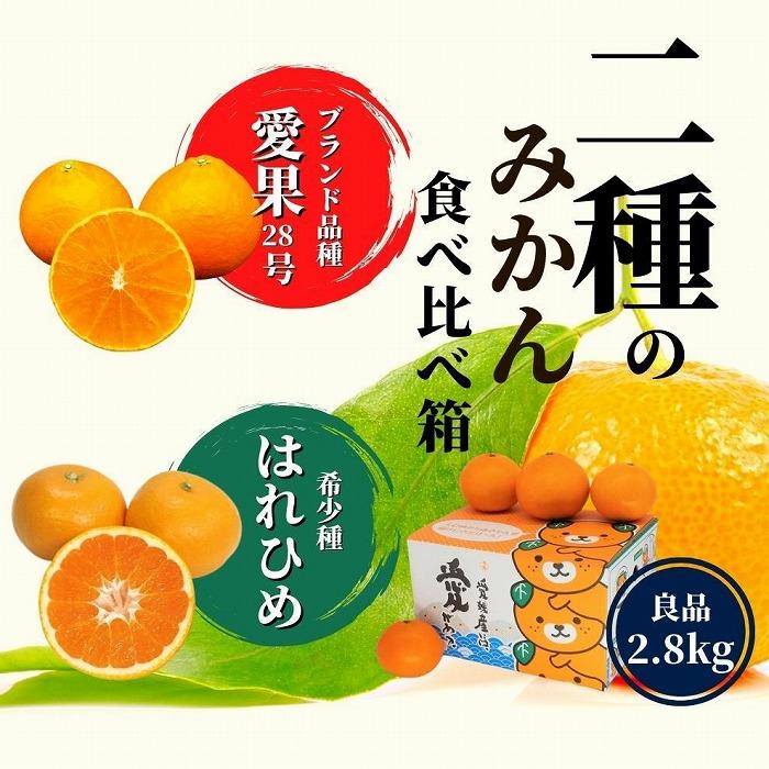 【ふるさと納税】 【先行予約】 【12月から順次発送】 愛果28号 ＆ はれひめ 良品 約2.8kg   | 愛果28号 まどんな 柑橘 みかん 果物 くだもの フルーツ おすすめ 高級 人気 お取り寄せ グルメ ギフト 期間限定 数量限定 ご当地 愛媛県 松山市