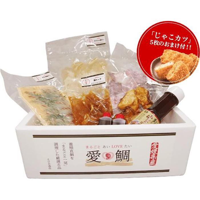 【ふるさと納税】 愛媛県産　ご当地『鯛グルメ』まるごと愛LOVE鯛２~３人前＆じゃこカツ5枚付