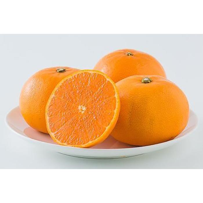 楽天市場】【ふるさと納税】 【発送は3月上旬から】 松山市中島産 せ