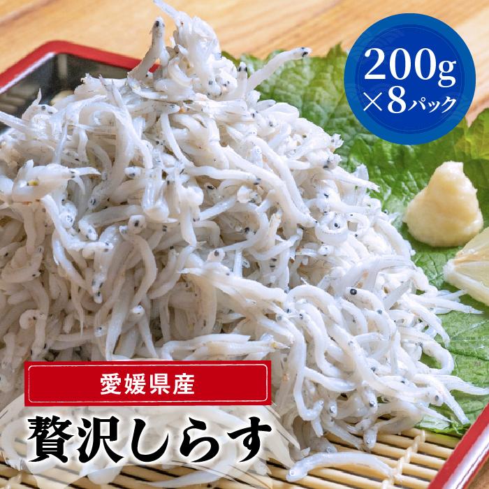 【【ふるさと納税】愛媛県産 大容量 贅沢 しらす 800g 200g × 4パック 約12人前 しらす丼 丼ぶり 魚 さかな  ご飯 ごはん 炒飯 チャーハン パスタ スパゲティ サラダ 卵焼き お取り寄せ グルメ 人気 おすすめ 愛媛県 松山市 愛媛県松山市