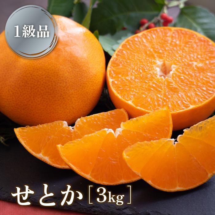 楽天市場】【ふるさと納税】三代目の柑橘の大トロ【せとか】3kg