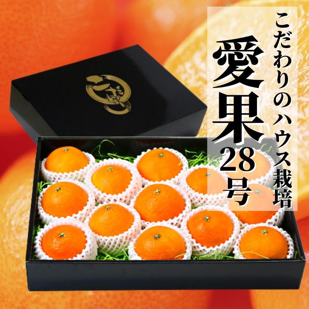 【ふるさと納税】【早期予約受付中！2025年12月～順次発送】こだわりのハウス栽培【愛果28号】化粧箱