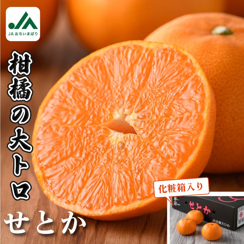 【ふるさと納税】【先行予約】愛媛県今治産 特選 せとか L～3L 10玉～15玉 国産 高級フルーツ 愛媛県産 みかん 柑橘 フルーツ 果物 大きい  ギフト用 贈答用 フルーツギフト 愛媛県  今治産 せとかみかん 【化粧箱入り】【2026年2月上旬から配送開始】【KC00630】