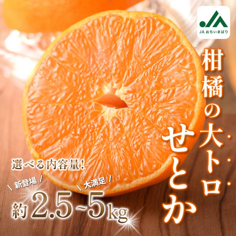返品用 メシアしてやろうか 楽天市場】【ふるさと納税】【先行予約】＼毎年売切れ！／ せとか 家庭