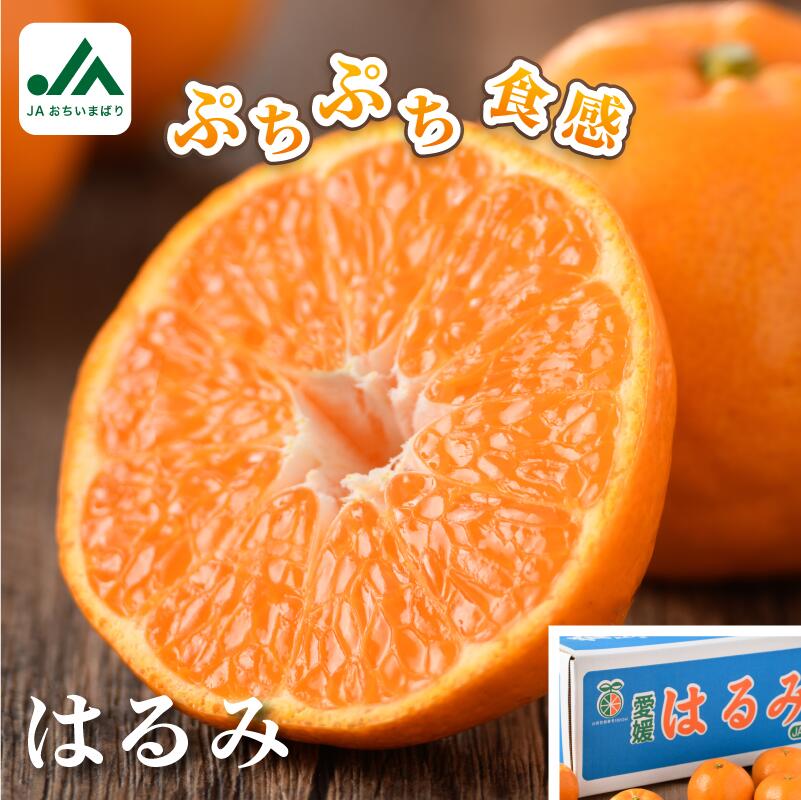 【ふるさと納税】【先行予約】【毎年売切れ】愛媛県今治産 みかん はるみ たっぷり 5kg  期間限定 国産 人気商品 定番商品 特産品 みかん 柑橘 フルーツ 果物 ギフト 甘い JA デコポンの妹分【KB02530】