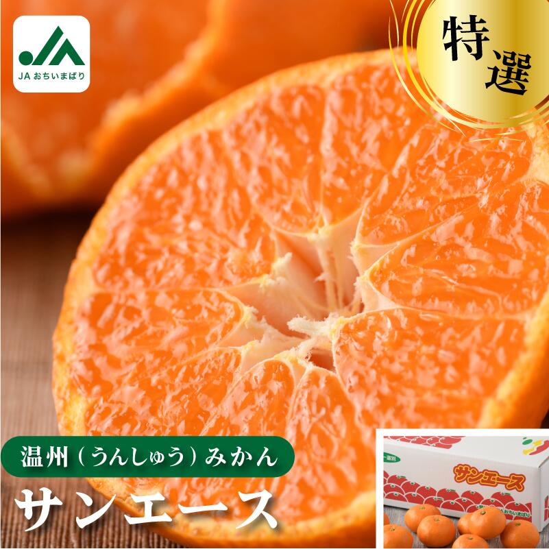 【ふるさと納税】【先行予約】＼迷ったらコレ！／ 愛媛県今治産 温州みかん サンエース たっぷり 4kg 期間限定 人気商品 定番商品 特産品 みかん 柑橘 フルーツ 果物 ギフト 甘い JA【毎年売切れ】【KB02210】