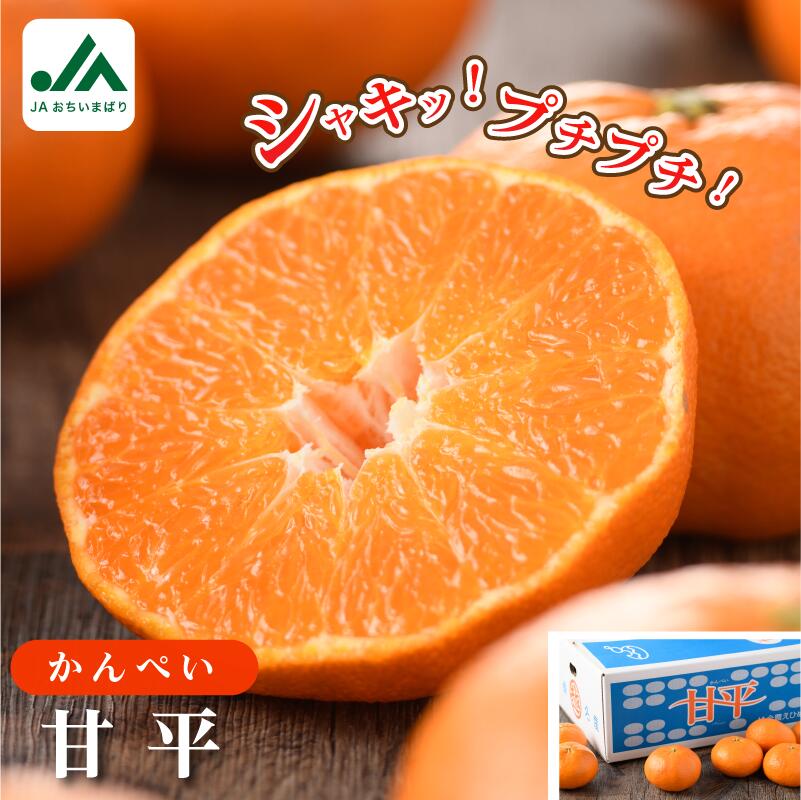 【ふるさと納税】【ご家庭用】【先行予約】愛媛県今治産柑橘 甘平 レギュラー箱5kg シャキッと食感の大人気果物【KC00780】JAおちいまばり みかん ミカン かんきつ 毎年売り切れ １月下旬から発送 高級フルーツ 越智今治農業協同組合 紅まどんなと二大巨頭