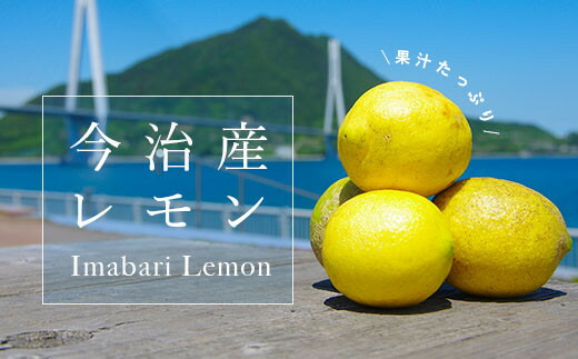 【ふるさと納税】【先行予約】愛媛県今治産 国産レモン メガ盛り 10kg 愛媛県産 しまなみレモン 名産品 人気商品 柑橘 料理 JA【KC00790】