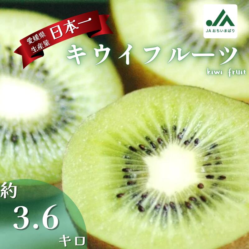 【ふるさと納税】【先行予約】愛媛県今治産 厳選 グリーンキウイ メガ盛り 3.6kg 爽やか食感で甘い味わい 国産 期間限定 特産品 旬の果物 フルーツ 果物 おやつ デザート JA【LB02570】
