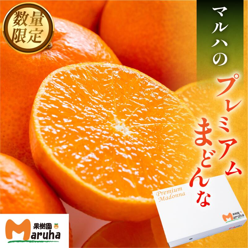 【ふるさと納税】【先行予約】マルハ果樹園 プレミアムまどんな 11月中旬から発送 12~15玉 先行予約 今治産 特選 まどんな マドンナ 化粧箱入 高級みかん 甘いみかん まどんなふるさと納税 ふるさと納税まどんな フルーツ 柑橘 果物 愛媛みかん【K002290】