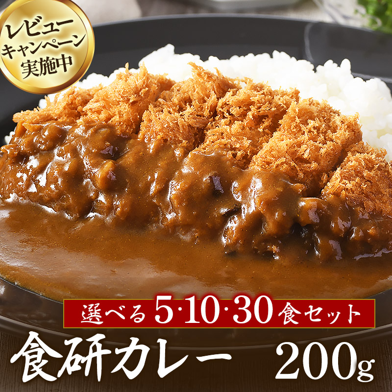 【ふるさと納税】レビューCP実施中 食研カレー（200g×5袋～30袋）今治 いまばり 愛媛 えひめ ご当地 30袋 日本食研カレー レトルト セット レトルトカレー 一人暮らし ご当地カレー 食べ物 常温 家庭用 加工品 国産 日本食研 愛媛ふるさと納税【VB02360】