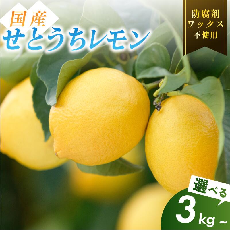 【ふるさと納税】《レビューキャンペーン実施中！》【有機】せとうちレモン 今治産 ワックス不使用 防腐剤不使用 国産 愛媛 瀬戸内レモン 有機レモン オーガニック 生搾り 送料無料 産地直送 減農薬 レモン 檸檬 直送 産直 無添加 選べるキロ数＜3kg／5kg／20kg＞【K002320】