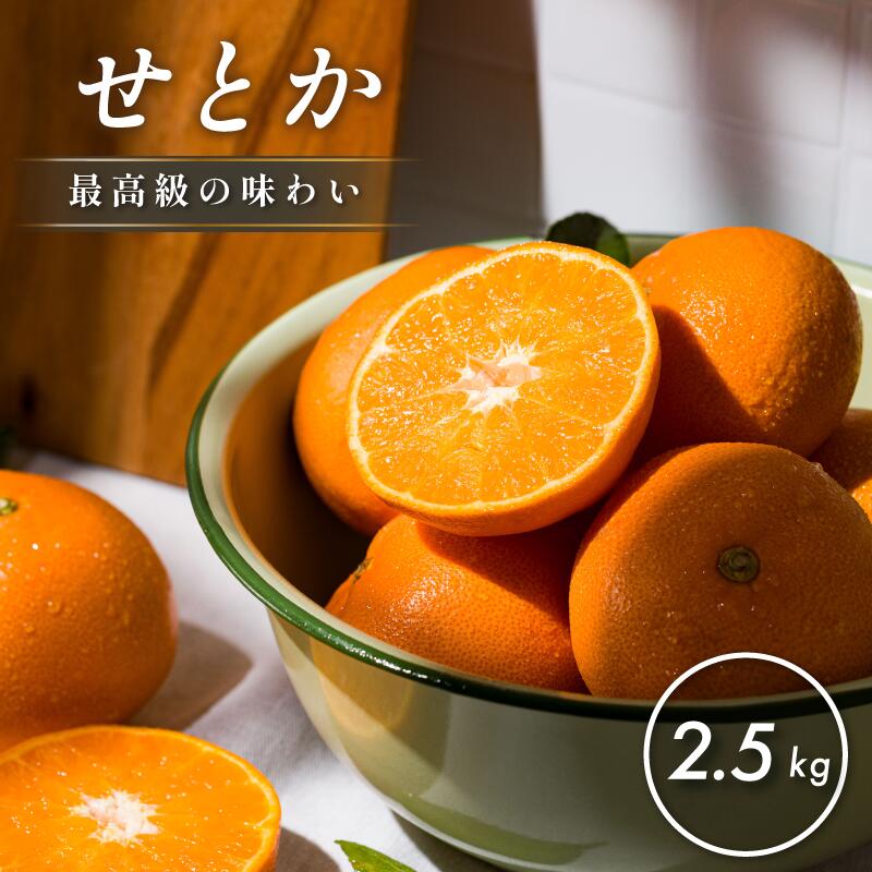【ふるさと納税】 【数量限定】愛媛県今治産 ホリ田ヤのせとか 2.5kg 高級 みかん 柑橘類 愛媛ミカン 愛媛みかん 蜜柑 果物 甘い 高級みかん ふるさと納税ミカン ふるさと納税ふるーつ 愛媛ふるさと納税 【K002420】