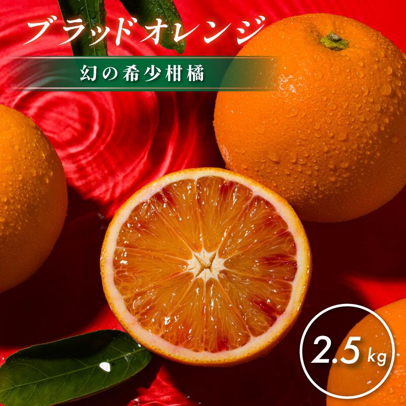 楽天市場】【予約商品】 家庭用 ブラッドブラッドオレンジ 3kg 2
