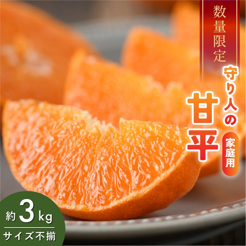 【ふるさと納税】【先行予約】【数量限定】守り人の甘平 3kg（家庭用）【K003070】2月上旬～2月下旬に順次発送予定 かんぺい 愛媛 甘平 みかん 愛媛県 果物 フルーツ みかん 3kg 甘い 高級 柑橘類 守り人｜愛媛県今治市 12,480円