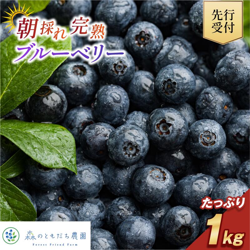楽天市場】【ふるさと納税】【先行予約】今治産ブルーベリー「媛ベリー