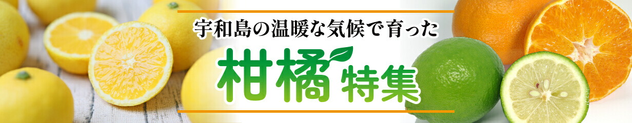 楽天市場】【ふるさと納税】 みかん鯛 550～700g 1尾 4節 宇和島