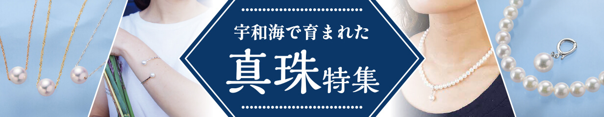 ふるさと納税 愛媛県 宇和島市 パール ネックレス イヤリング セット