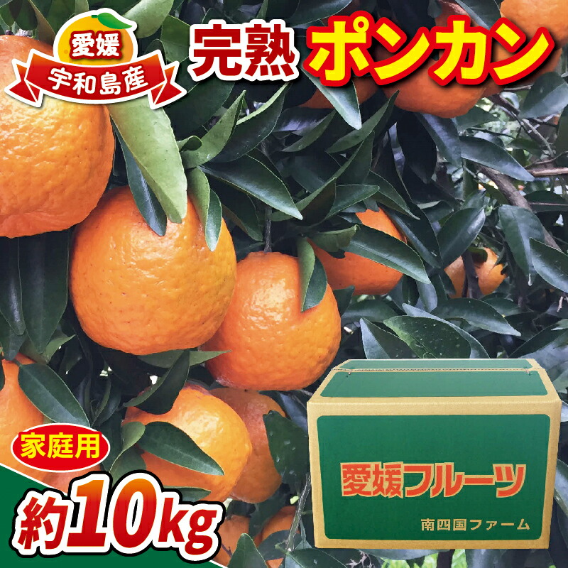 楽天市場】【ふるさと納税】先行予約 天草ポンカン 約 7.5kg 家庭用