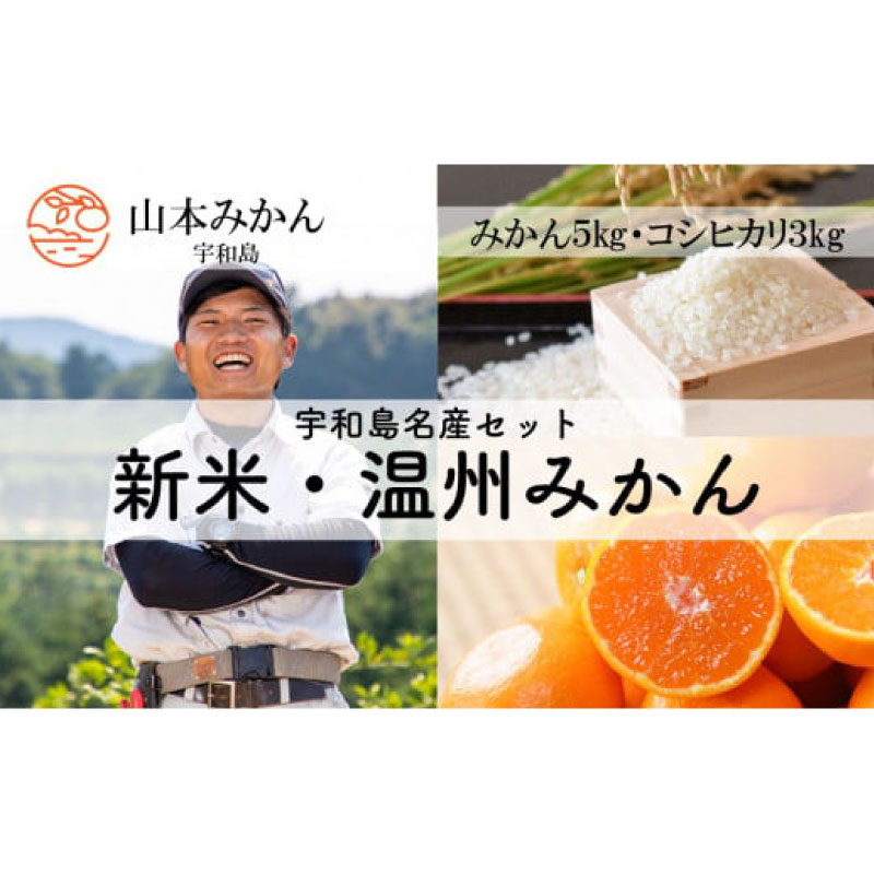 【ふるさと納税】 温州みかん 5kg 特別栽培米 コシヒカリ 3kg 計 8kg セット 山本みかん ふるさと納税限定 先行予約 早生 南柑20号 みかん mikan 蜜柑 果物 くだもの フルーツ 柑橘 ギフト 米 特別栽培 ご飯 お米 産地直送 数量限定 国産 愛媛 宇和島 B012-038002