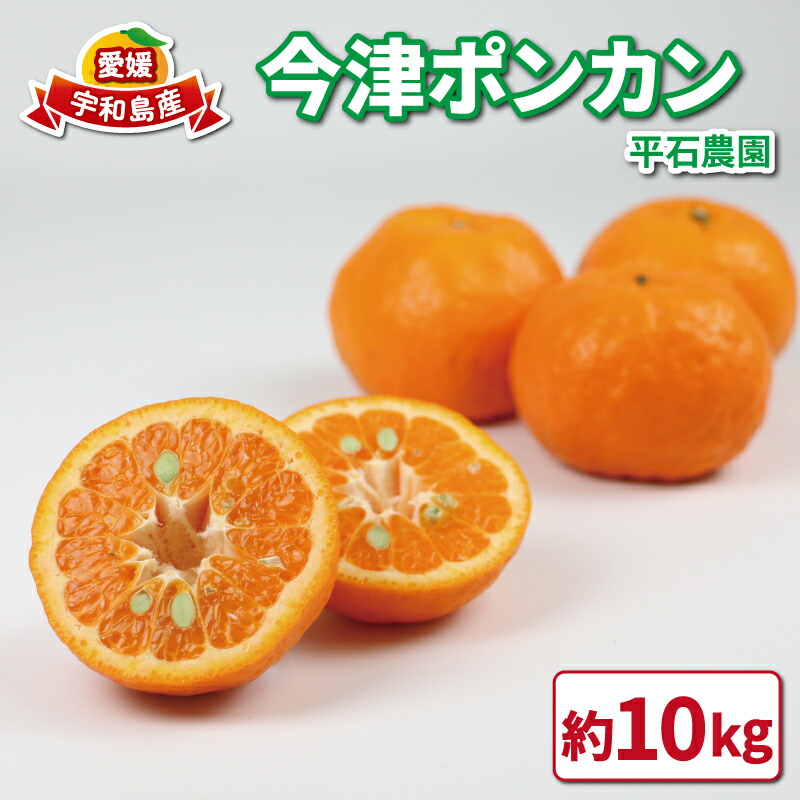 【ふるさと納税】 ポンカン 10kg 家庭用 サイズ 不揃い 平石農園 愛媛みかん みかん mikan 愛媛ミカン 愛媛蜜柑 ぽんかん 果物 くだもの フルーツ 柑橘 甘い ジューシー 果肉 みかん 蜜柑 数量限定 産地直送 農家直送 国産 愛媛 愛媛県産 宇和島 B011-017003