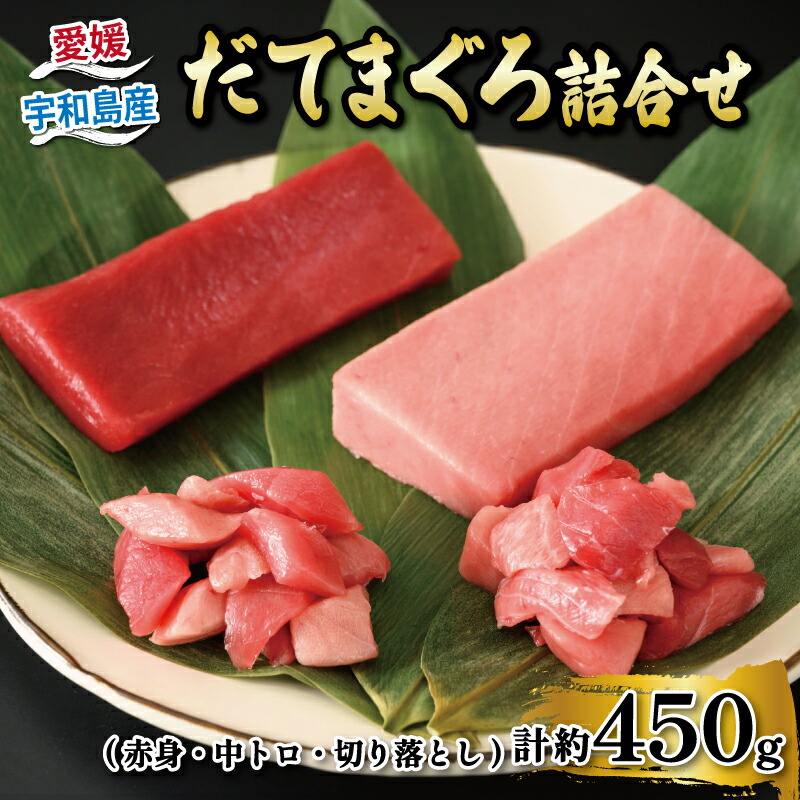 【ふるさと納税】 ＼10営業日以内発送／ マグロ 赤身 150g 1柵  中トロ 150g 1柵 切落し 75g 2パック 詰合せ セット 辻水産 だてまぐろ 詰め合わせ maguro 鮪 トロ 刺身 お刺身 刺し身 国産マグロ 養殖マグロ 本マグロ 漬け ネギトロ 海鮮 冷凍 国産 愛媛 宇和島 D024-062005