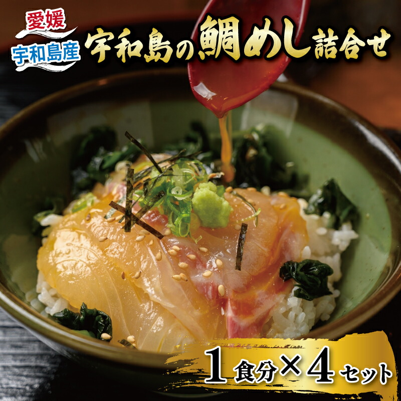 【ふるさと納税】 ＼10営業日以内発送／ 鯛めし 4食 セット 辻水産 生鯛めし 真鯛 鯛 マダイ タイ tai 刺身 お刺身 刺し身 漬け丼 漬け 漬丼 丼 海鮮丼 郷土料理 鯛飯 海鮮 人気 海の幸 魚介 人気加工品 冷凍 小分け パック お手軽 便利  国産 愛媛 宇和島 D012-062001
