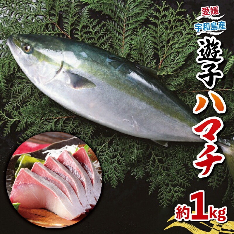 【楽天市場】【ふるさと納税】 ハマチ セット 計 1kg 愛媛県漁業協同組合遊子支所 遊子 出世魚 ブリ 鰤 皮なし 皮付き ハマチカマ ブロック 加工 真空パック 小分け 流水解凍 刺身 お刺身 刺し身 お刺し身 しゃぶしゃぶ 塩焼き 煮付け 急速冷凍 国産 愛媛 宇和島 D012-022005:愛媛県宇和島市