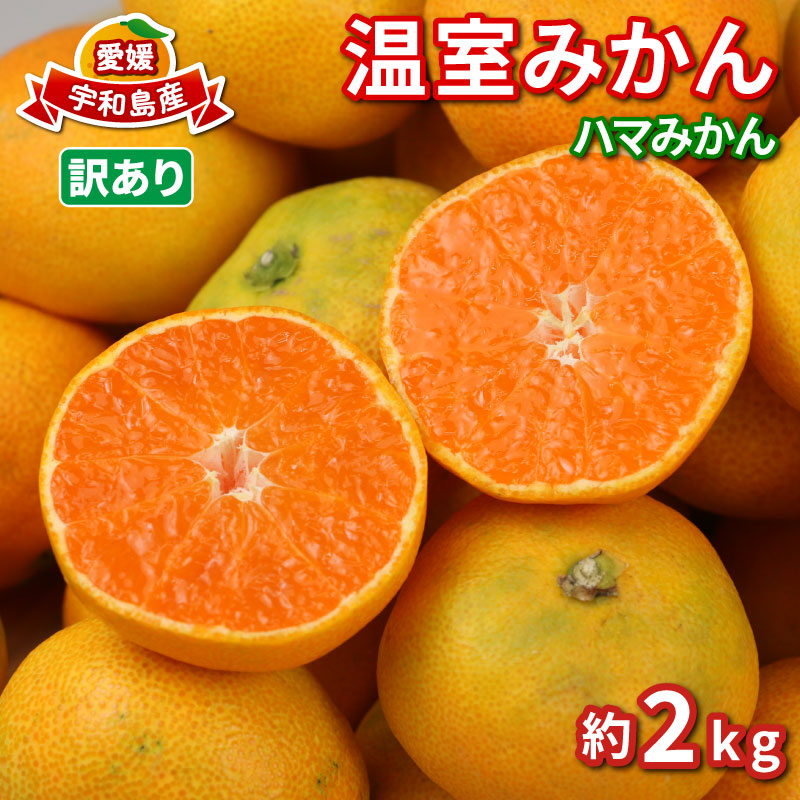 【ふるさと納税】 訳あり 温室みかん 7月発送 先行予約 ハマみかん 温州みかん ハウス栽培 ハウスみかん 訳アリ 訳あり品 興津 早生 ハウス みかん mikan 果物 フルーツ 柑橘 蜜柑 愛媛蜜柑 愛媛みかん 農家直送 産地直送 数量限定 国産 愛媛 宇和島 B010-075012