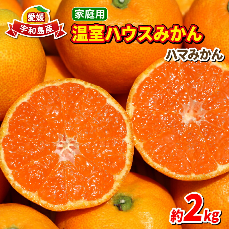 【ふるさと納税】 温室みかん 2kg 家庭用 7月から発送 先行予約 ハマみかん 温州みかん 温室蜜柑 ハウス栽培 ハウスみかん 興津 早生 ハウス みかん mikan 果物 フルーツ 柑橘 蜜柑 愛媛ミカン 愛媛蜜柑 愛媛みかん 農家直送 産地直送 数量限定 国産 愛媛 宇和島 B015-075004
