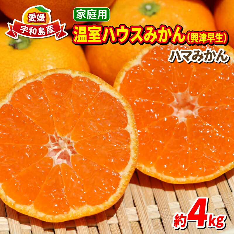 【ふるさと納税】 温室みかん 興津 早生 4kg 家庭用 7月発送 先行予約 ハマみかん 温州みかん みかん 興津早生 早生温州 ハウス栽培 ハウスみかん ハウス蜜柑 果物 フルーツ 柑橘 愛媛ミカン 愛媛蜜柑 愛媛みかん 農家直送 産地直送 数量限定 国産 愛媛 宇和島 B025-075007