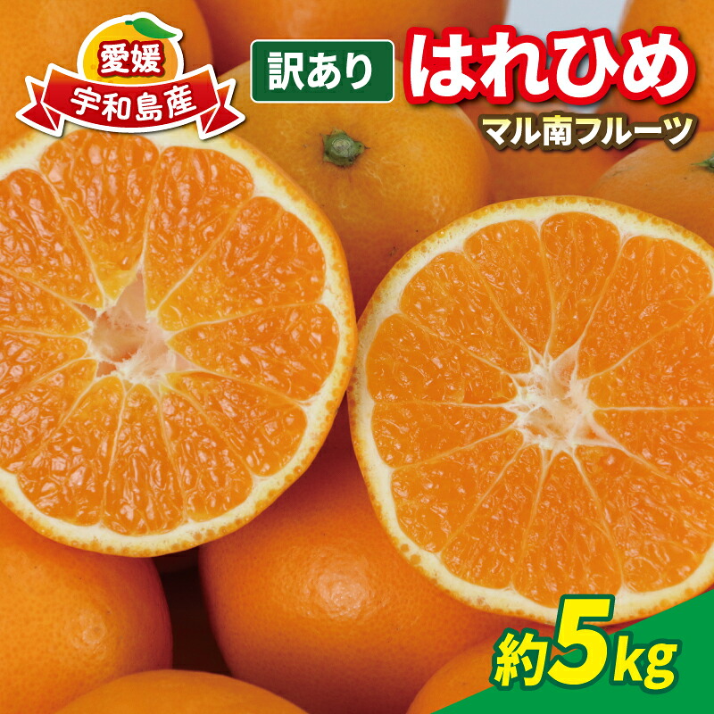 【ふるさと納税】 柑橘 訳ありみかん はれひめ 5kg 先行予約 マル南フルーツ 瀬戸の晴れ姫 晴れ姫 サイズ 不揃い 高級 希少 品種 わけあり 愛媛みかん 愛媛ミカン 愛媛蜜柑 mikan 果物 くだもの フルーツ みかん 蜜柑 産地直送 数量限定 国産 愛媛 宇和島 B012-106002｜愛媛県宇和島市