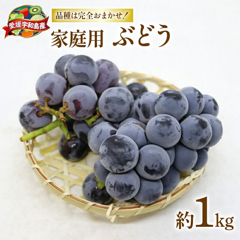 【ふるさと納税】 ぶどう 1kg マル南フルーツ 先行予約 数量限定 巨峰 ピオーネ ニューベリーエー ふじみのり 黒系 品種 おまかせ 大粒 甘い ぶどう 葡萄 産地直送 高級 人気 果物 フルーツ 国産 愛媛 宇和島 F010-106031