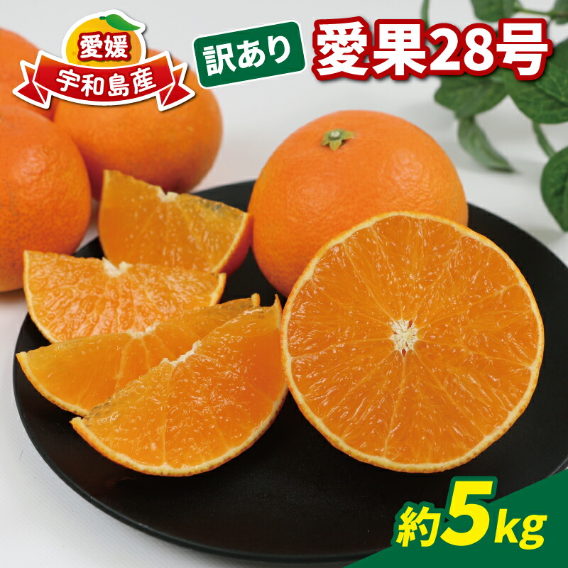 【ふるさと納税】 訳あり 愛果28号 5kg 家庭用 玉津柑橘倶楽部 愛媛みかん 愛媛蜜柑 愛媛ミカン 高級 ブランド 限定 品種 プルプル 甘い 玉津 みかん mikan 予約受付 果物 フルーツ 柑橘 愛果 濃厚 甘味 蜜柑 産地直送 数量限定 国産 愛媛 愛媛県産 宇和島 B015-072026